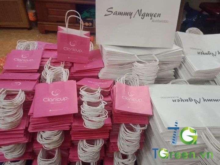 Mẫu túi giấy in logo thương hiệu đẹp