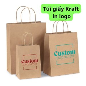 Túi giấy Kraft in logo