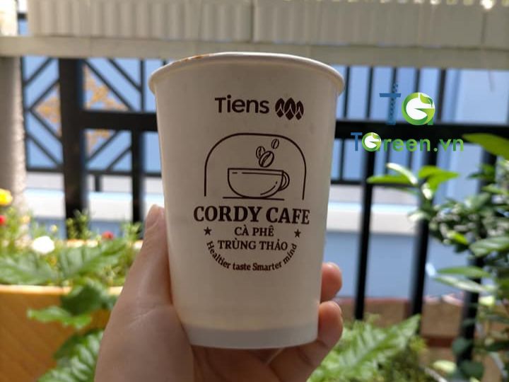 Mẫu ly giấy cafe mang đi in logo 1 màu
