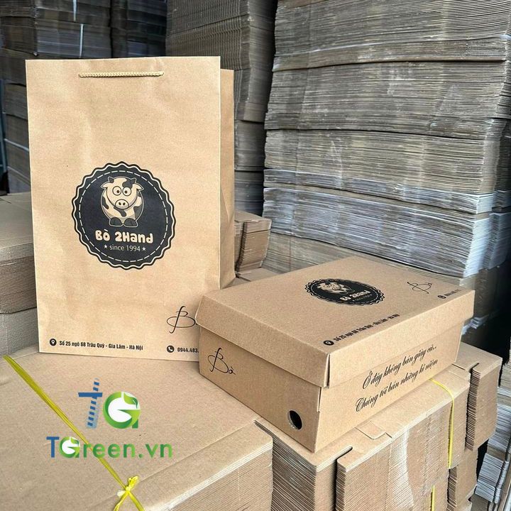 Túi giấy Kraft in logo cho shop giày