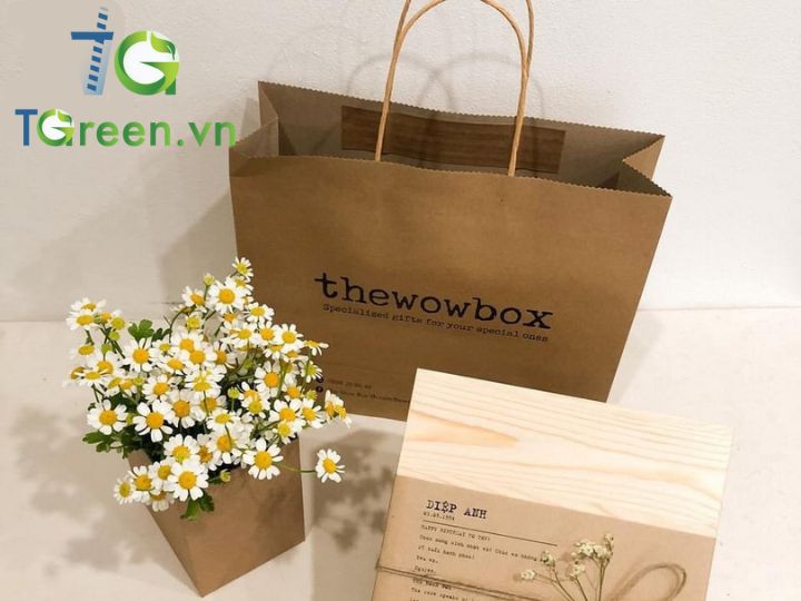 Túi giấy Kraft nâu in 1 màu