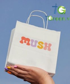 Túi Giấy Kraft Nhỏ (mini)