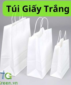 Túi Giấy Kraft Trắng